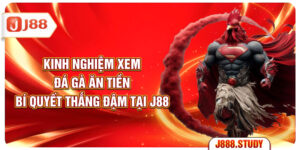 kinh-nghiem-xem-da-ga-an-tien-bi-quyet-thang-dam-tai-j88