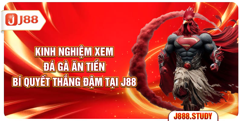 kinh-nghiem-xem-da-ga-an-tien-bi-quyet-thang-dam-tai-j88