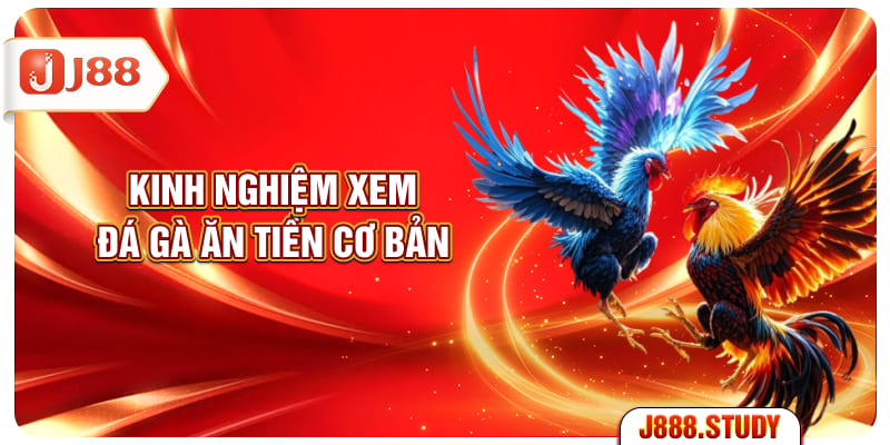 kinh-nghiem-xem-da-ga-an-tien-co-ban