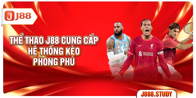 the-thao-j88-cung-cap-he-thong-keo-phong-phu